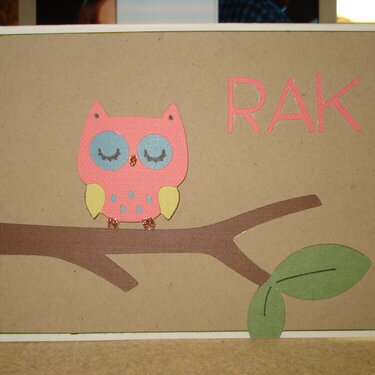 RAK Card 1