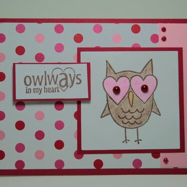 owlways in my heart