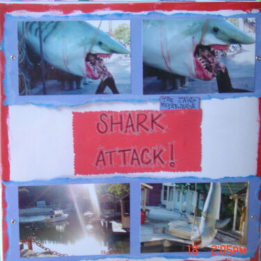 Shark Attack!  The Jaws Experience