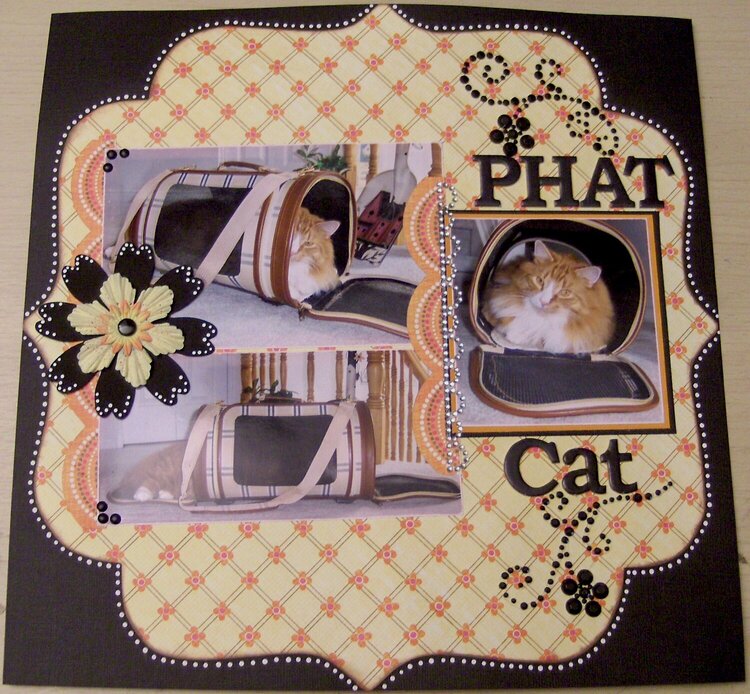 Phat Cat