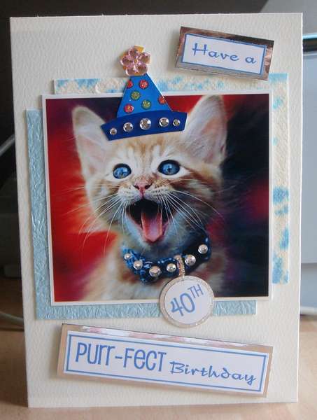 Purr-fect Birthday