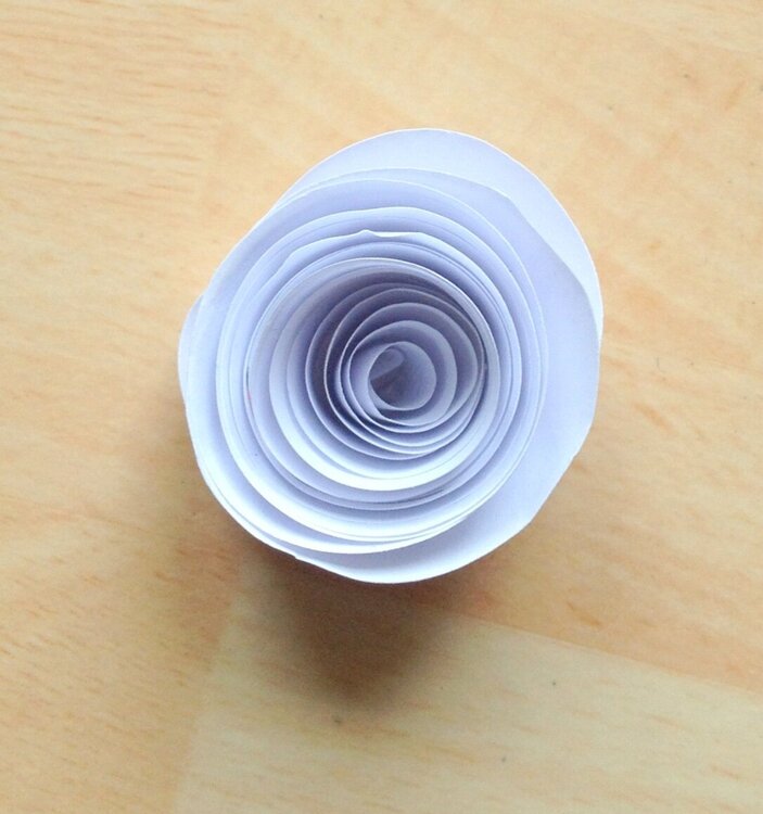 Rolled Paper Flowers 6