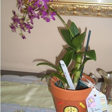 Flower Pots for Teacher