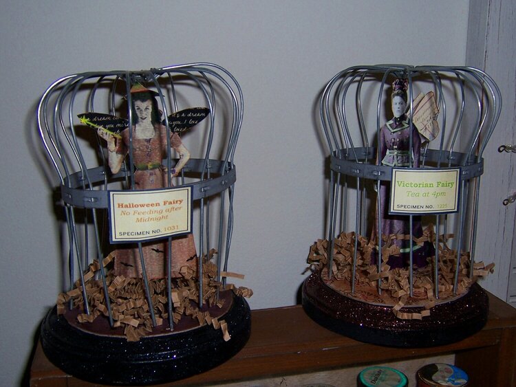 Caged Fairies!