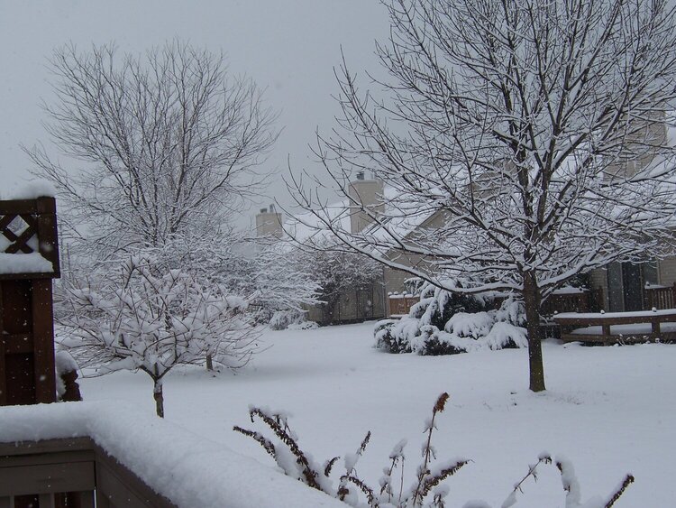 * Another SNOW day...here in Michigan!