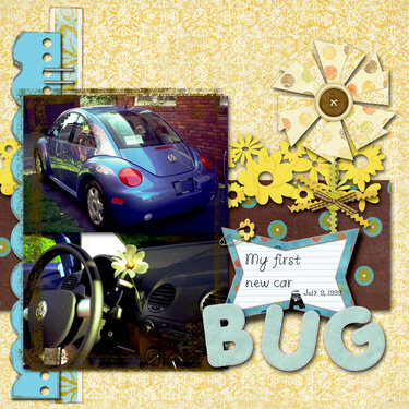 Little Blue Bug ****
