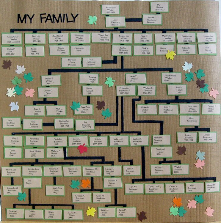 my family tree