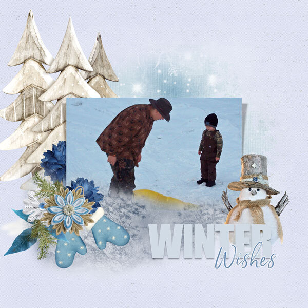 Winter Wishes