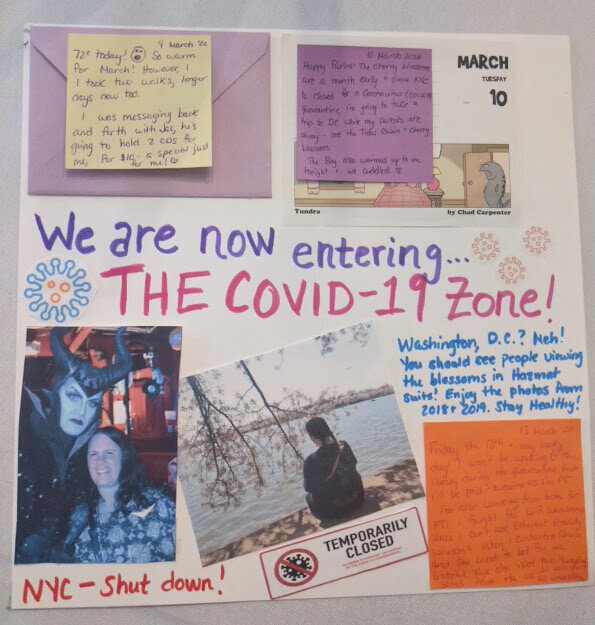 The COVID-19 Zone