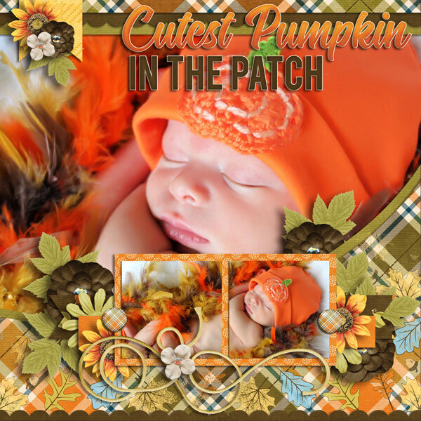 Pumpkin Patch by Lauries Scraps