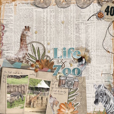 Life is a zoo