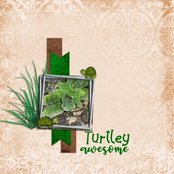 Turtley awesome