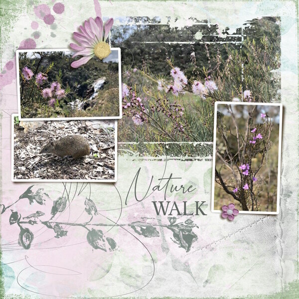 Nature walk