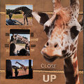 Close Up