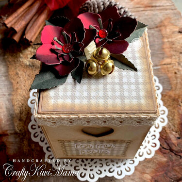 Helleborus Christmas Rose Gift Box