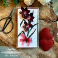 Kiwi Midnight Geyserland Orchid Card