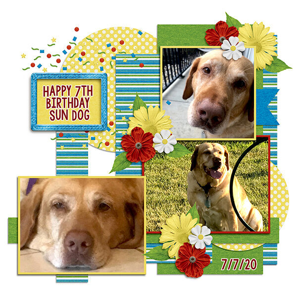 Happy 7th Birthday Sun Dog