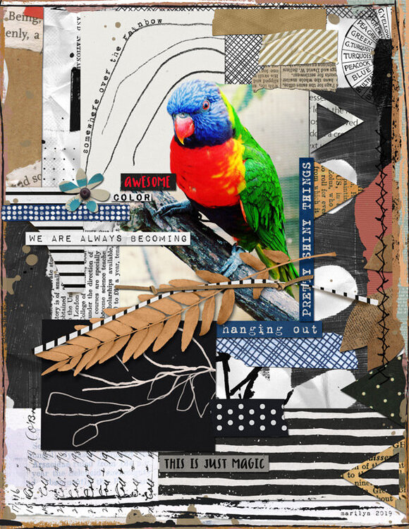 Rachel Jefferies Collage Challenge at The LilyPad