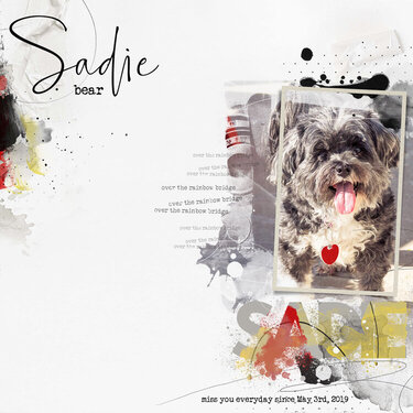 Sadie Bear