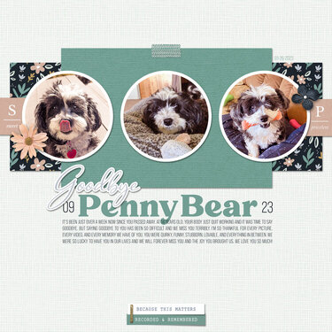 Goodbye Penny Bear