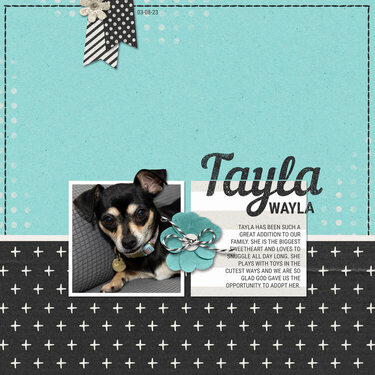 Tayla Wayla