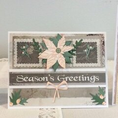 Poinsettias and Winters Edge