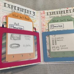 Elin the Science Kid card/journal- 11 and 12