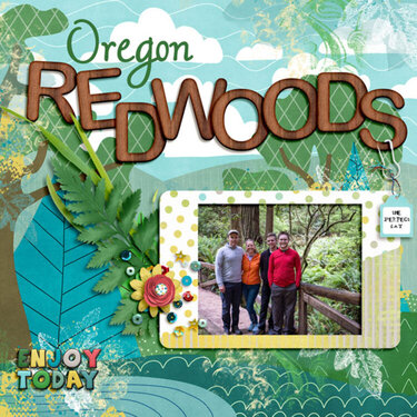 Oregon Redwoods