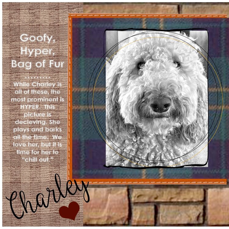Charley Dog