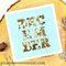 December Liquid Gel Shaker Card