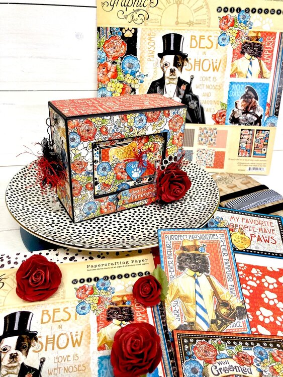 Graphic 45 Well Groomed Mini Album and Box for Dawna