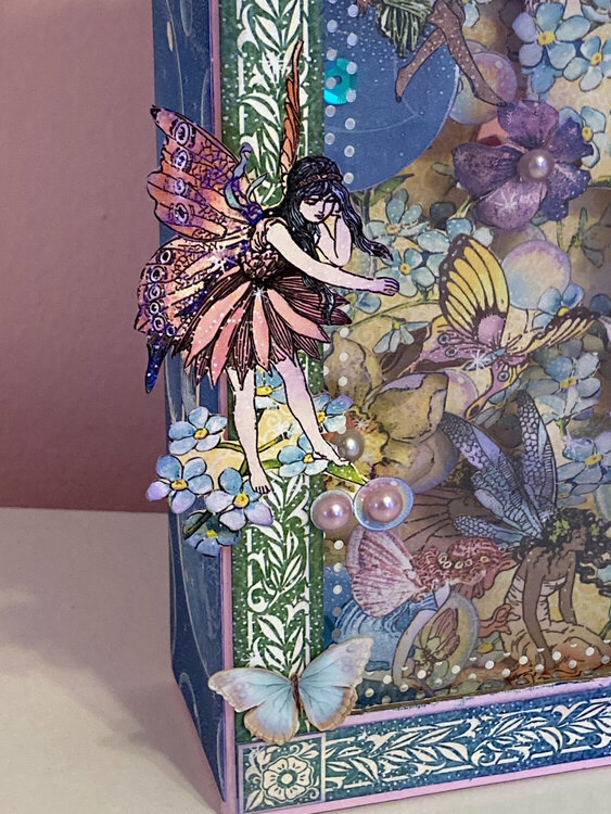 Fairie Wings Shadow Box