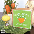 Somebunny Loves You Card