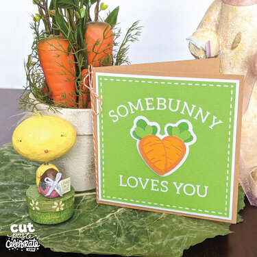 Somebunny Loves You Card