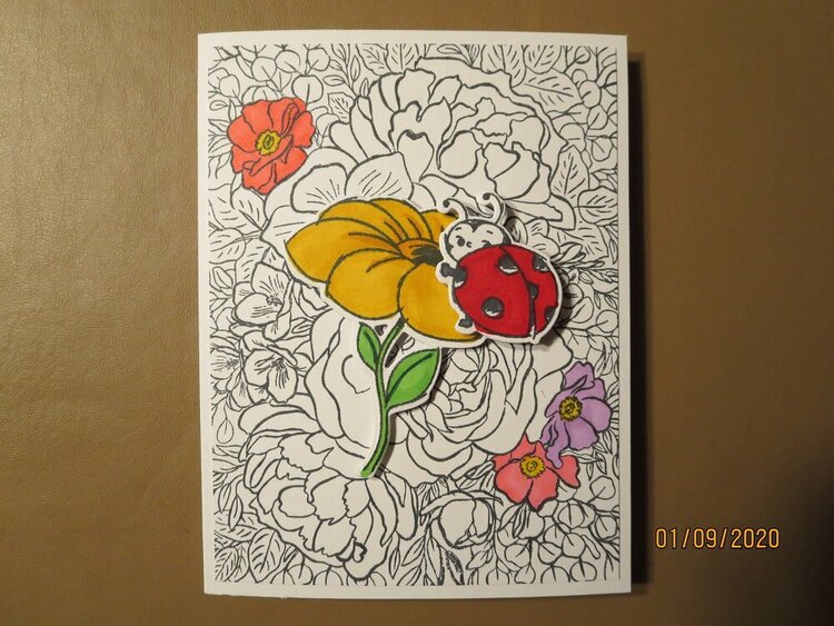 Ladybug and Floral Birthday Card