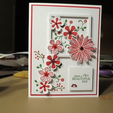 Beautiful Day All Occasion Card