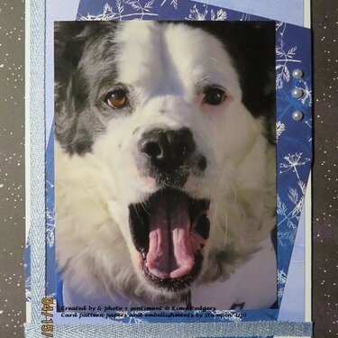 2022 Card #13 - Opera Dog Birthday Card