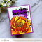 Versatile Greetings 3 Press Plates (Comfort Edition)
