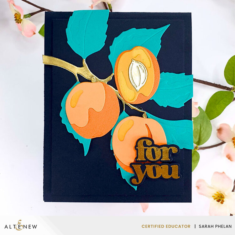 Versatile Greetings 3 Die Set (Comfort Edition)