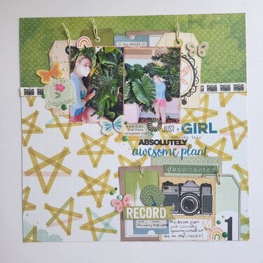 Absolutely Awesome Plant!