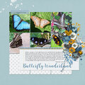 Butterfly Wonderland