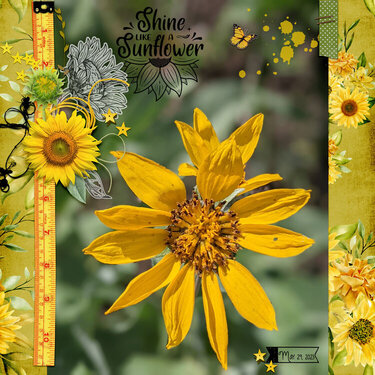 Shine Like A Sunflower