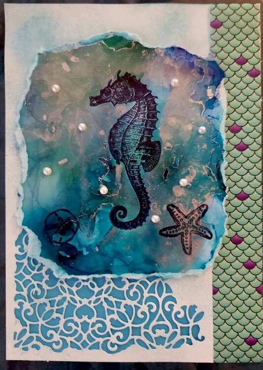 Seahorse