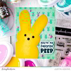 View User Uploaded Project