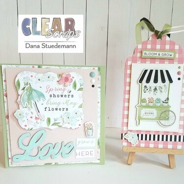Spring card and tag