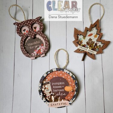 Fall Shaker Ornaments 