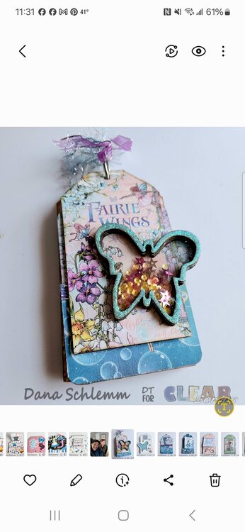 Fairie Wings Butterfly Shaker Tag Album 
