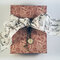 Steampunk Gift Box