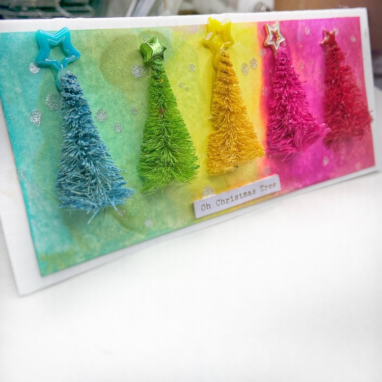 Rainbow Bottlebrush Tree Slimline