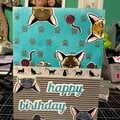 Siamese cat birthday card